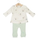Conjunto de 2 piezas de Estrellas Verde Agua 6m (612457)