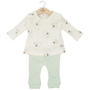 Conjunto de 2 piezas de Estrellas Verde Agua 9m (612464)