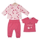 Conjunto de 3 Piezas de Frambuesa 3m (614420)
