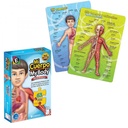 Edugames Rompecabezas Didáctico Mi Cuerpo 63pzs 4a+