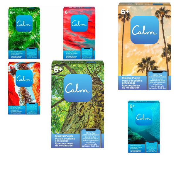 Boing Toys Games - Rompecabezas de Meditación Calm   6a+ (Surtido de 6  - Se venden por Separado)