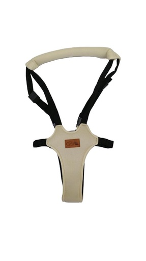 [FDJBBW001BG] Baby Basics Caminador de Bebé Beige para Edades de 6 meses a 4 años (446877)