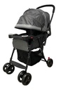 Baby Basics Coche para Bebé Gris con Negro 15Kg Max (444583)