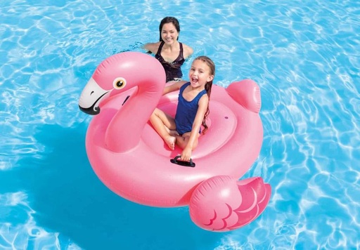 [INT57558] Flotador en Forma de Flamingo 1.42x1.37x97cm